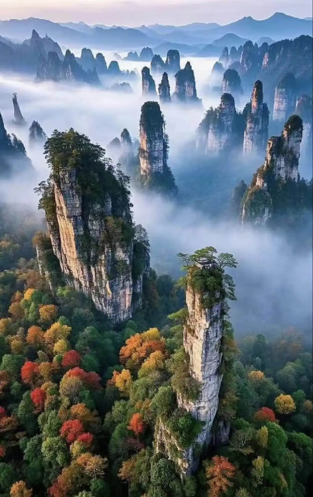 Zhangjiajie Travel Guide | Mountains, Attractions & Itinerary | Fugo